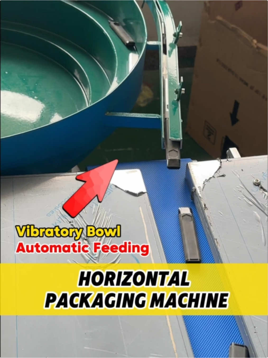 @PackagingMachinery-Sunny