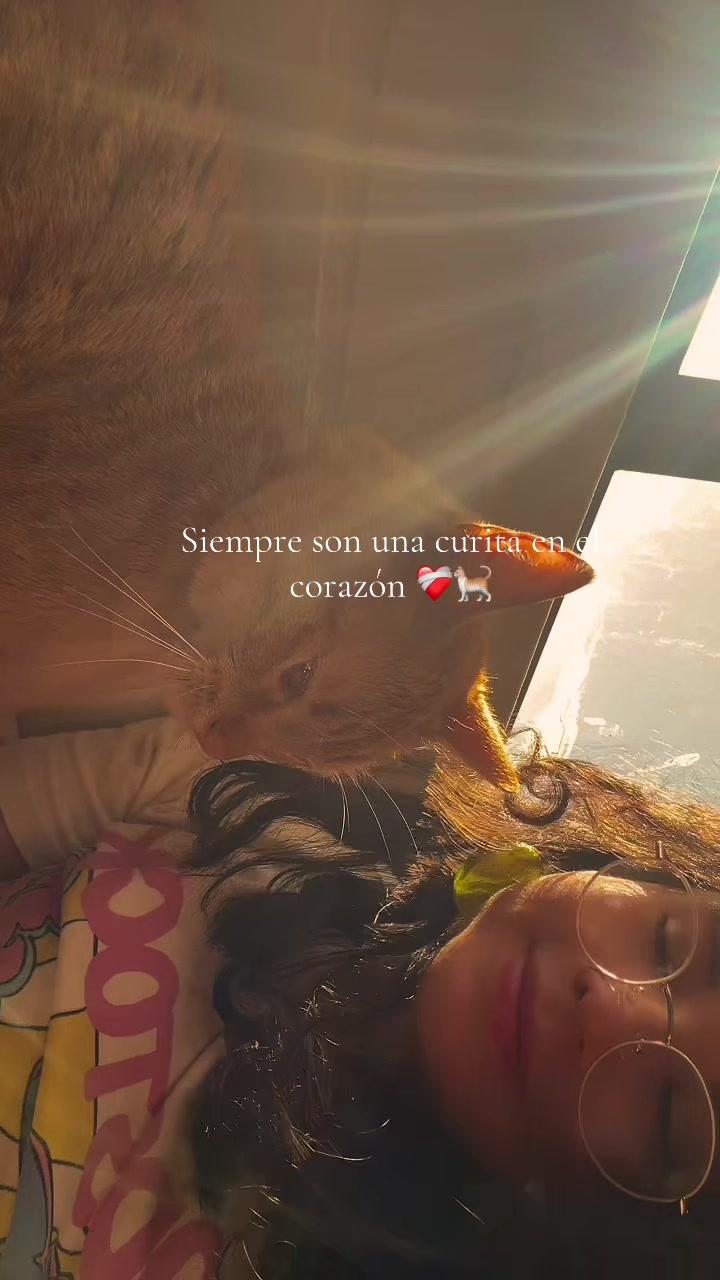 @ceciliaacats