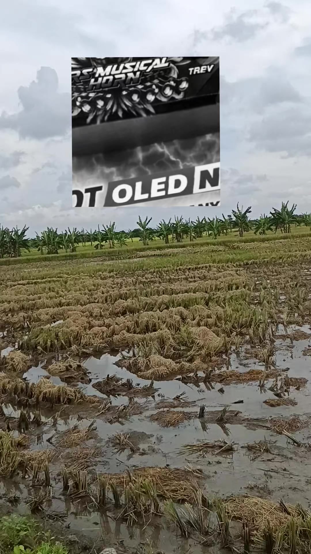 @akun berkah
