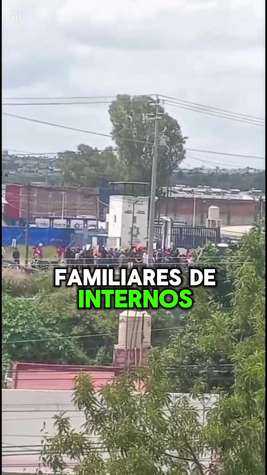 @Puebla en Linea