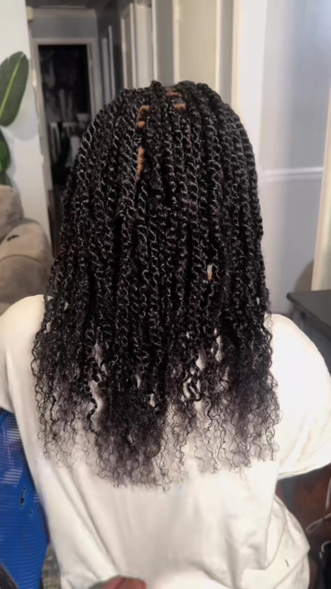 @tierravlogs_tts