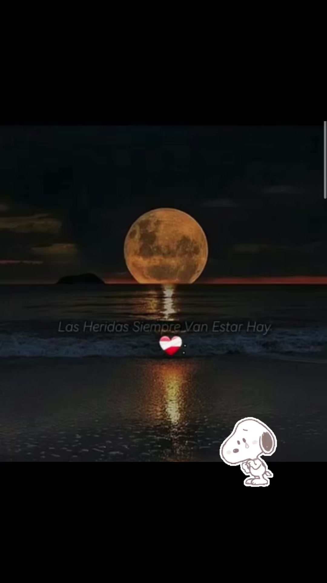 @🙈María GP.💙🦋🙈