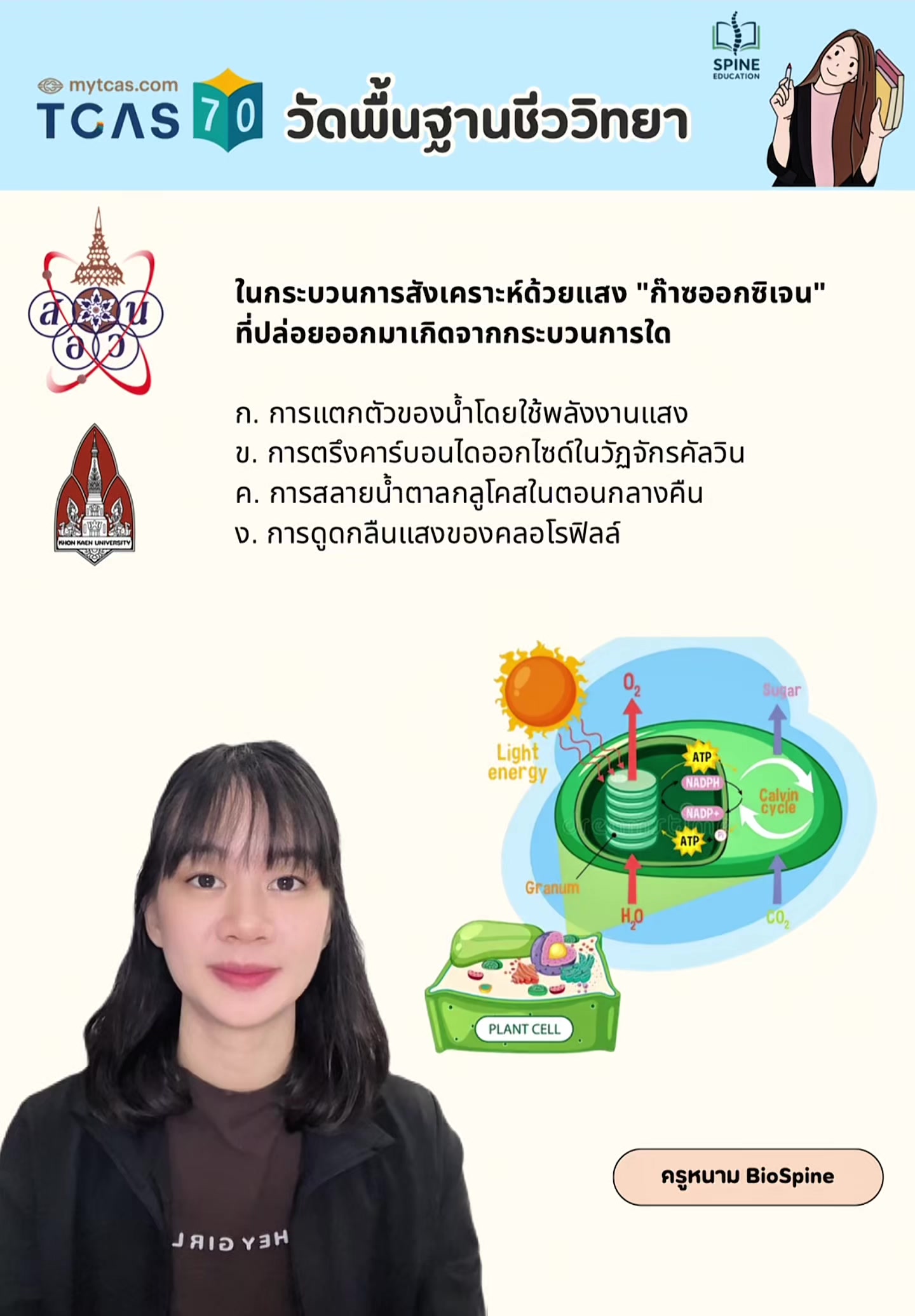@Biospine by ครูหนาม