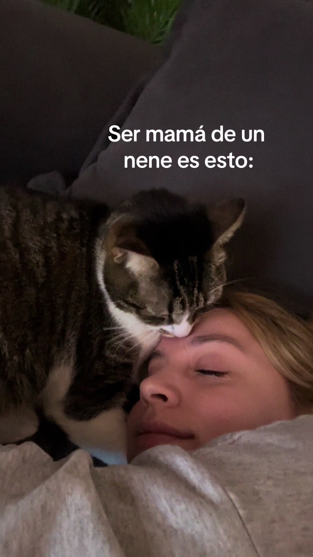 @Sol