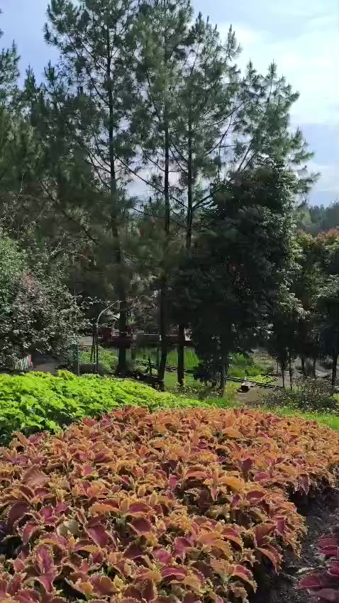 @farrelezequelbarichaldi_