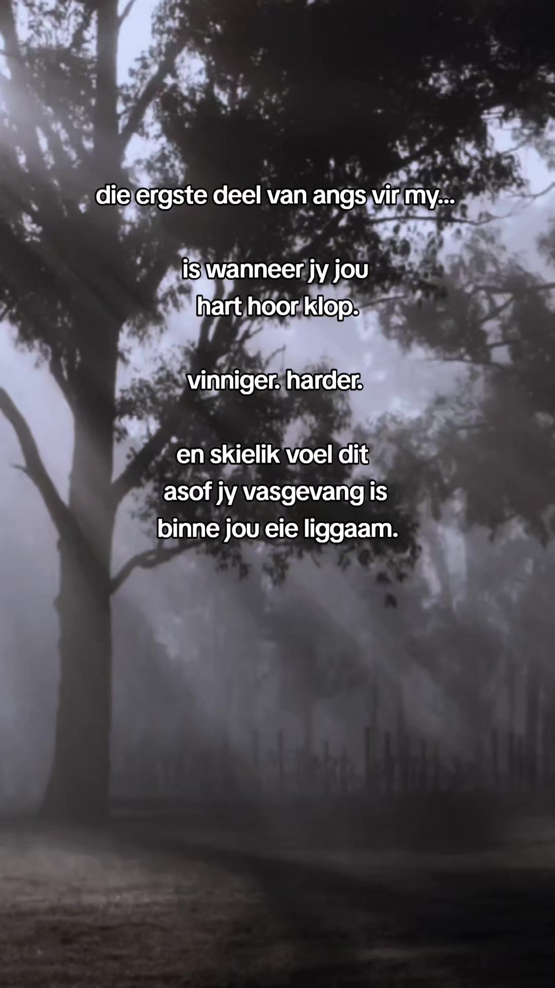 @gedagtes in die stilte