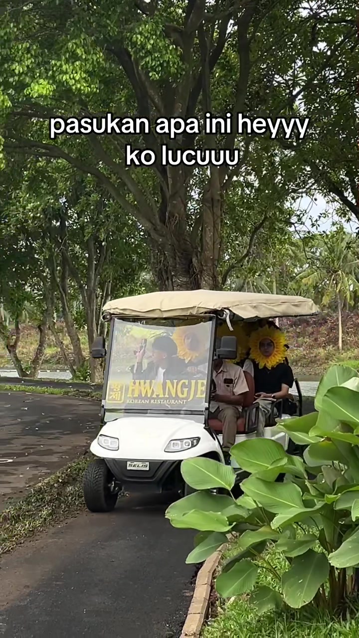 @Xiecha