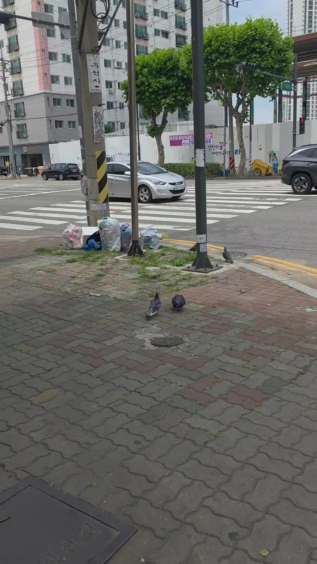 @kkubo_korea