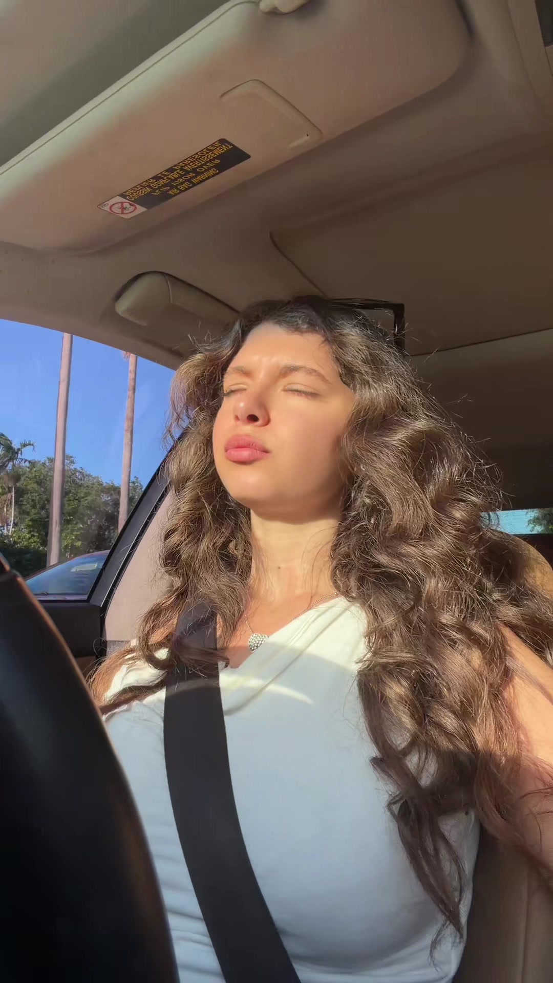 @bianamusic