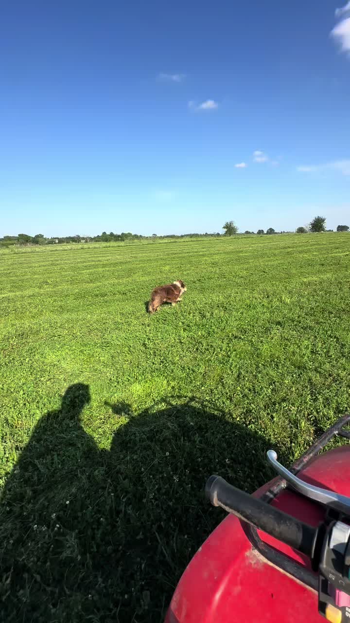 @lostgrassfarmer