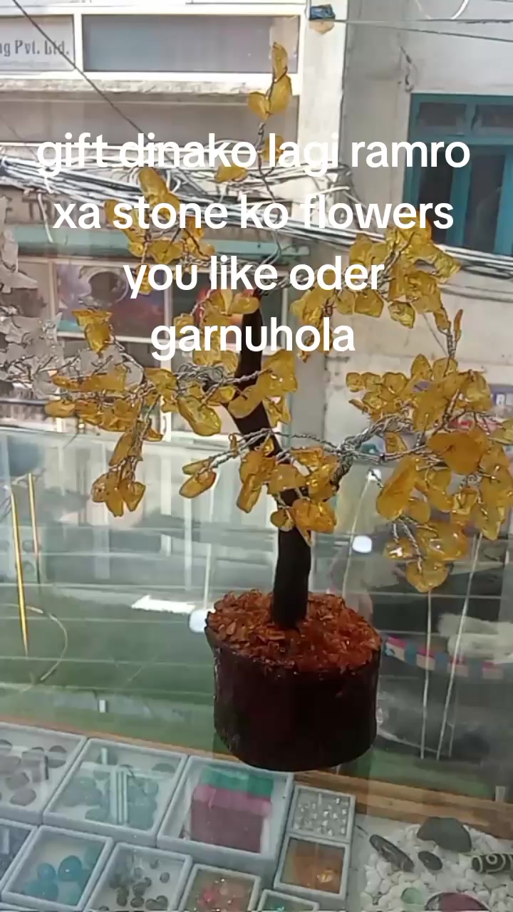 @sabina