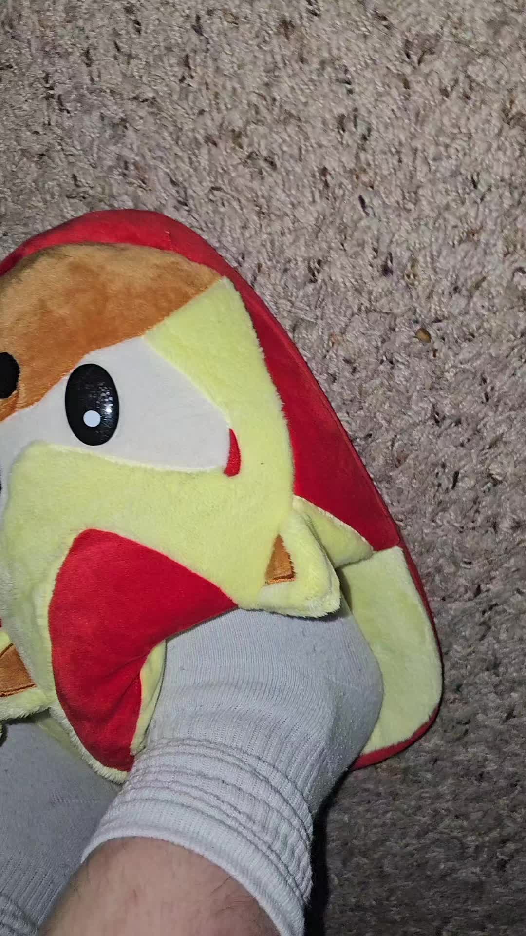 @shunappucos