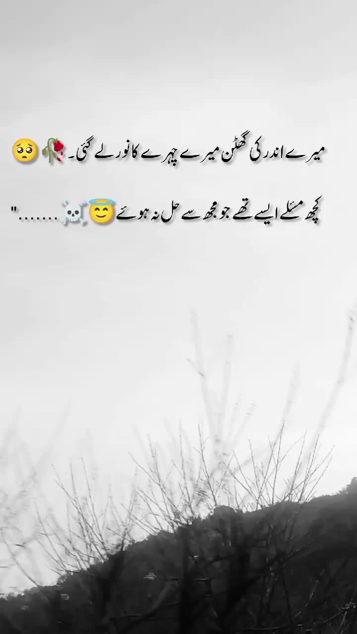 @🦅کشمیری رائٹس 🍁(◕‿-)