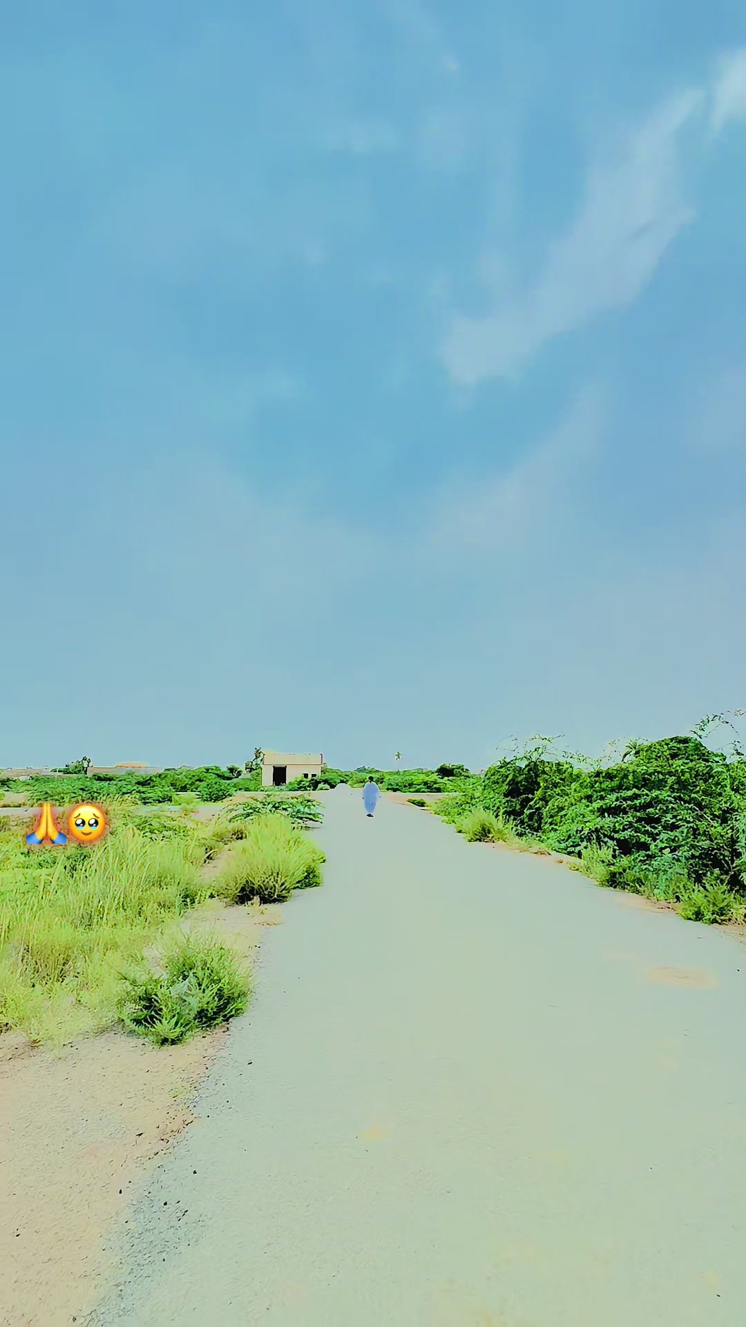 @Team bhambhani