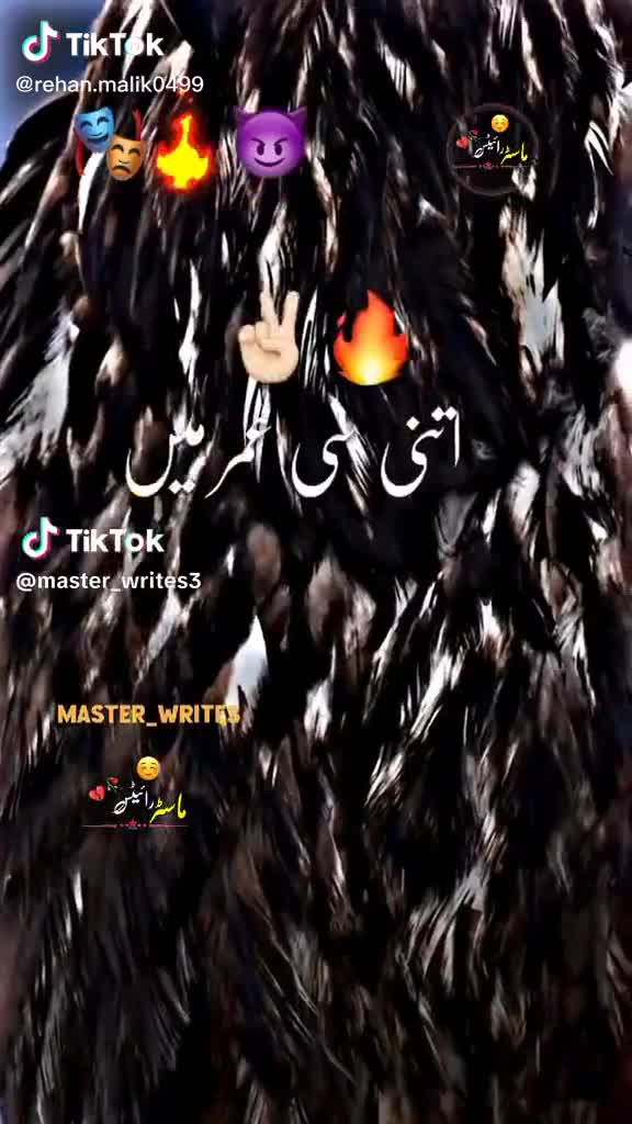 @rihan malik