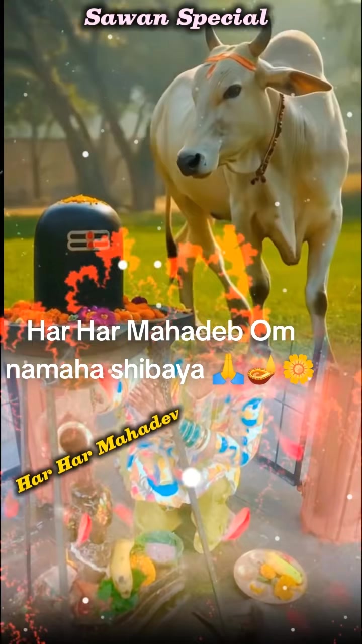 @Junu_rai582