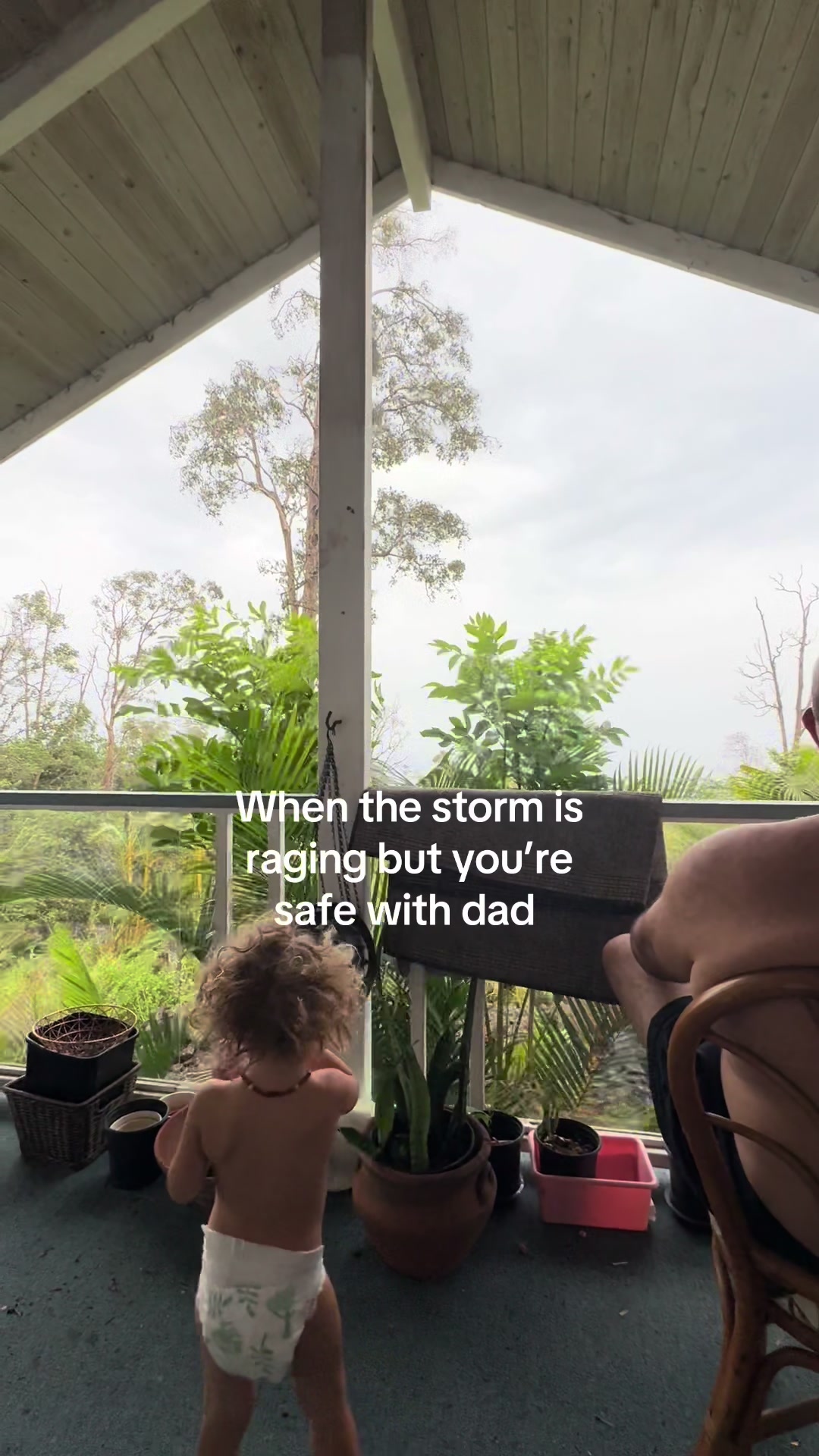 @Gomes Ohana