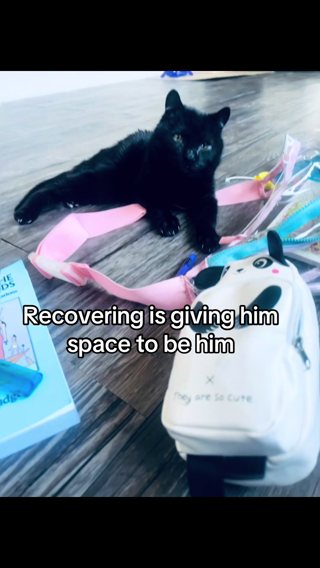 @Meow Meow