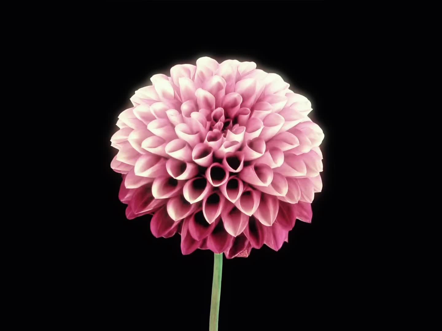 @ᶻ 𝗓 𐰁