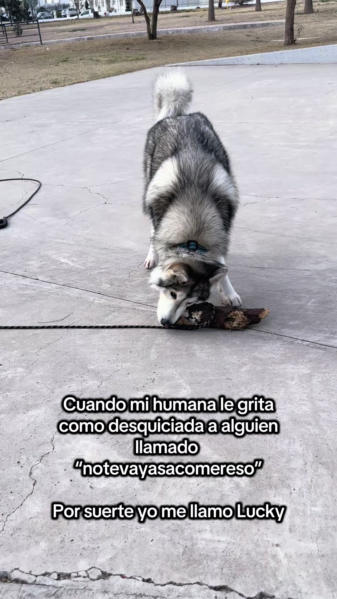 @KZ