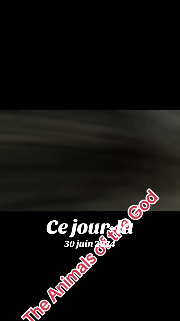 @26UN55