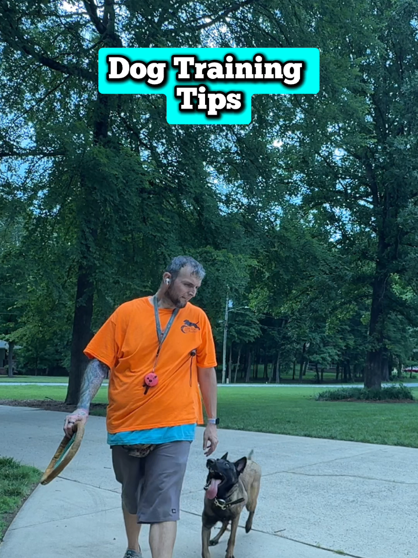 @Lost Boys K9 Academy