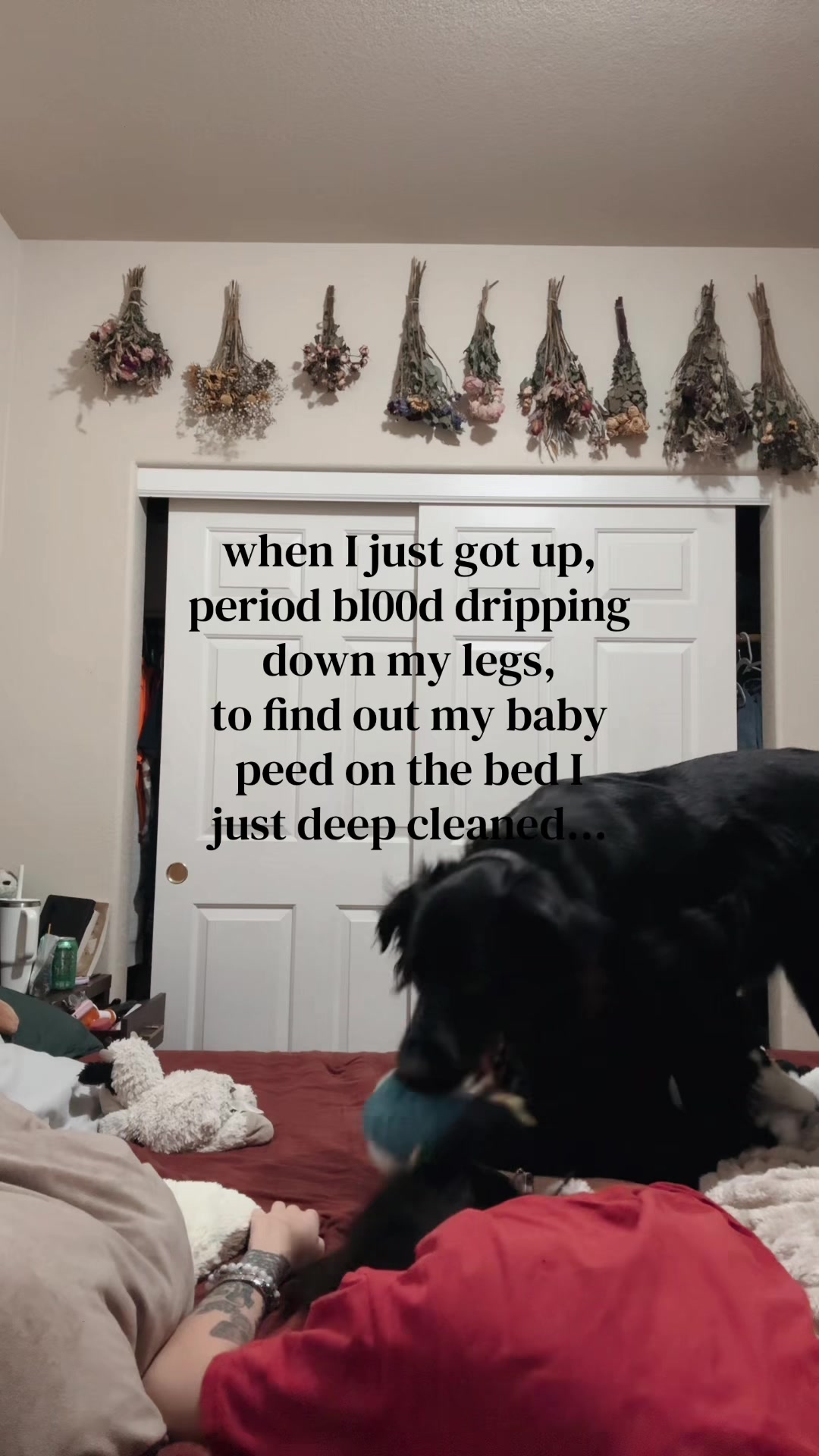 @marg𖦹smadw𖦹rld
