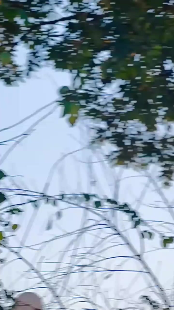@Rᴀᴊᴀ&spades;