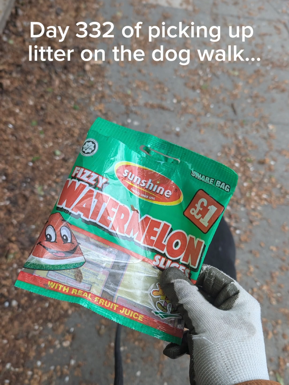@LitterWalkiesWithRu