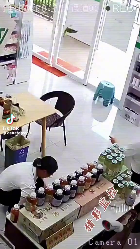 @劍劍龍