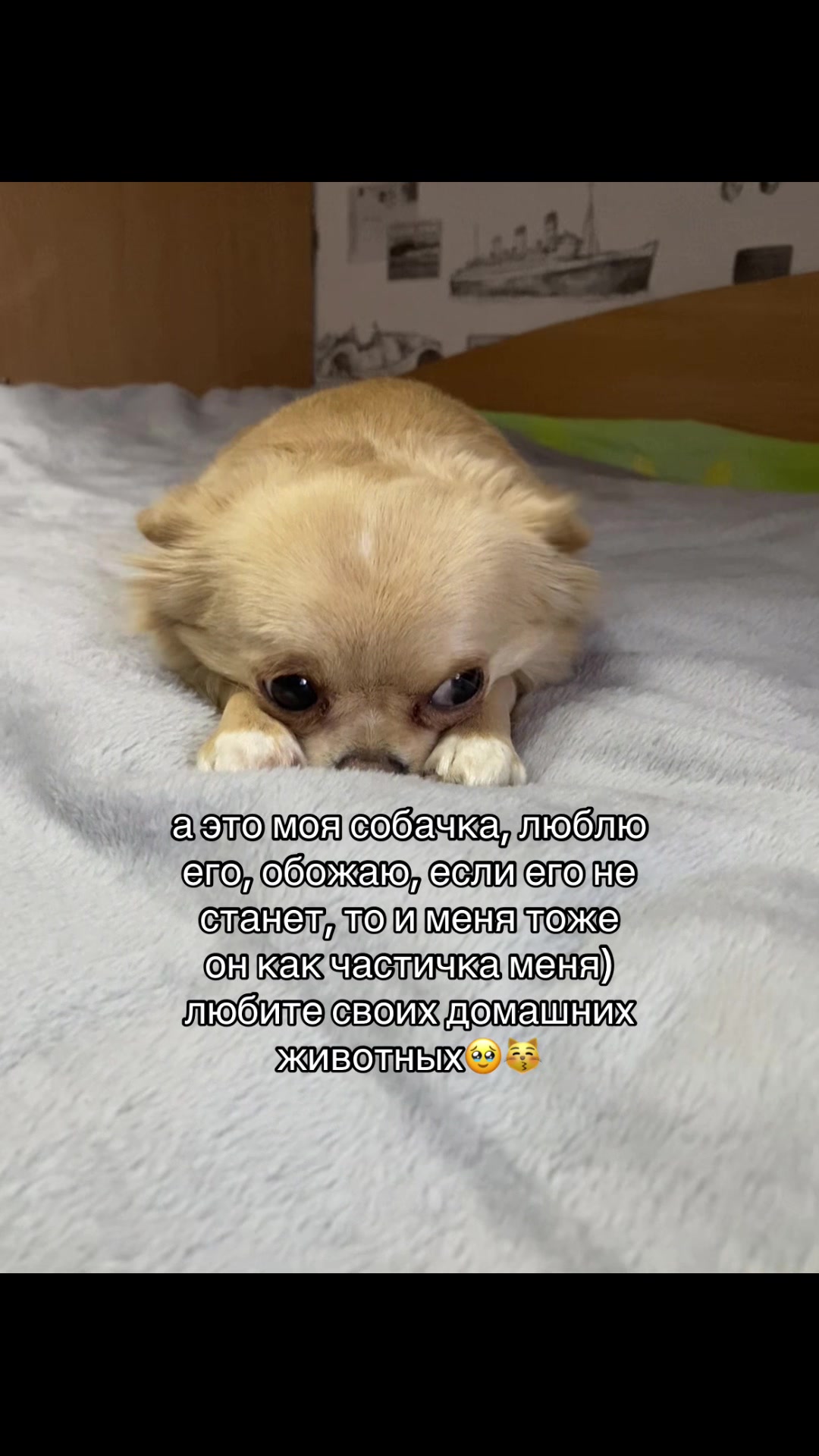 @лариска😛🙄