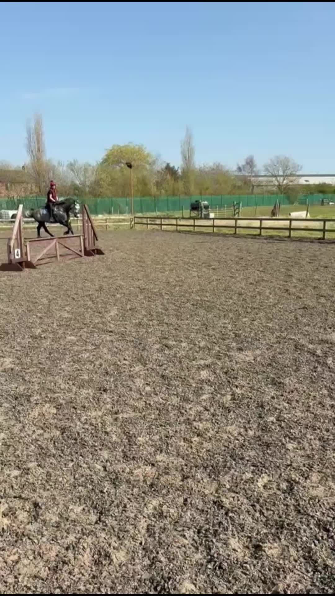 @WillowsPonies