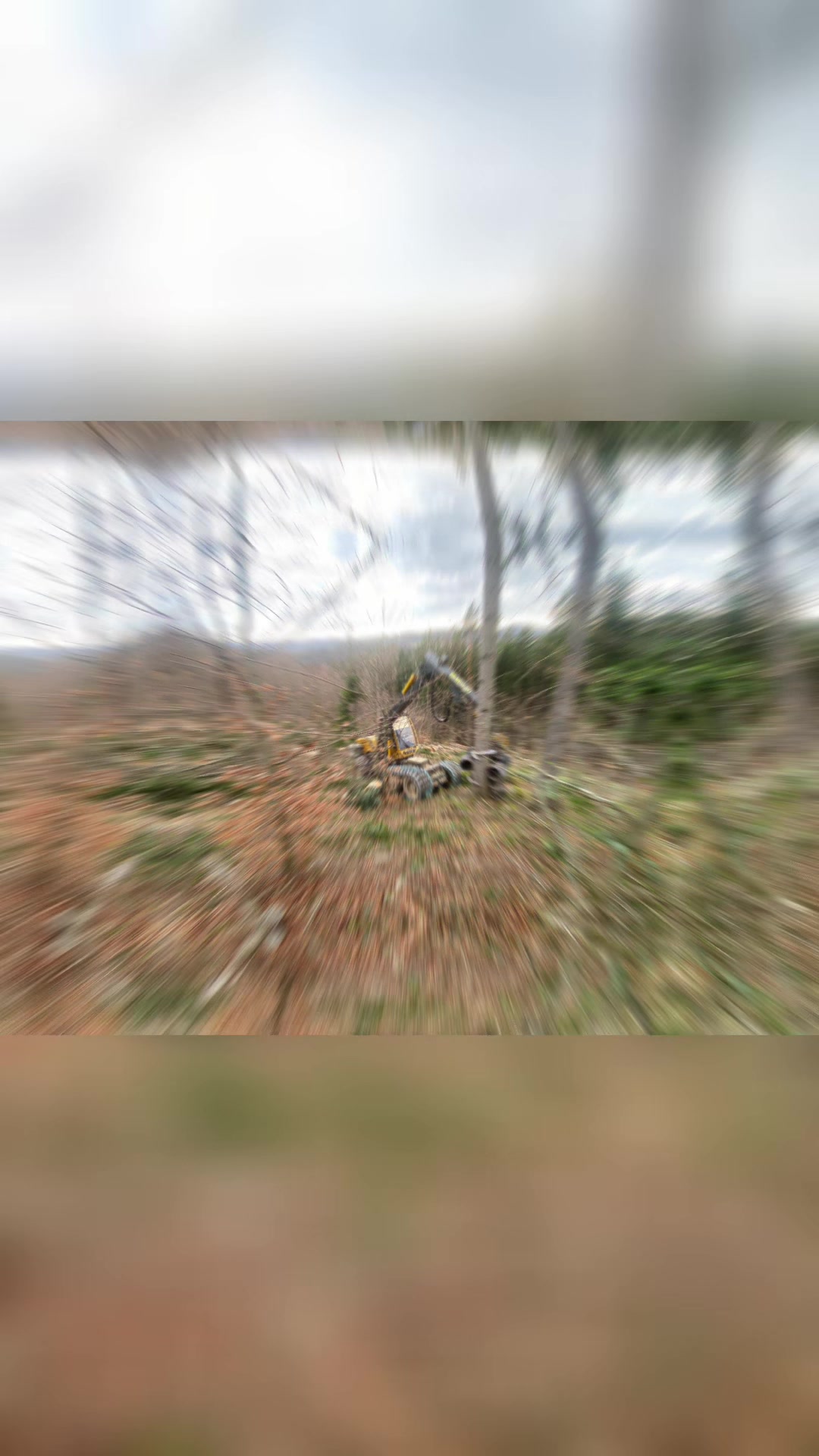 @🌲🌲Prosťě Fidla🤷&zwj;♂️🤷&zwj;♂️🌲🌲