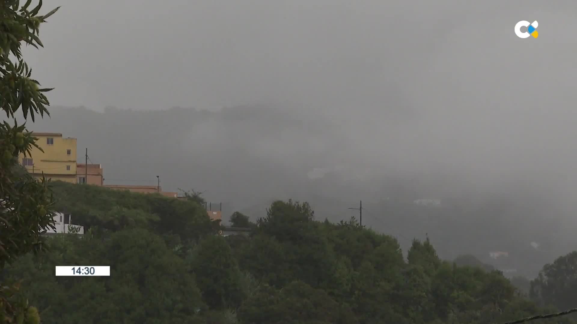 @Radio Televisión Canaria