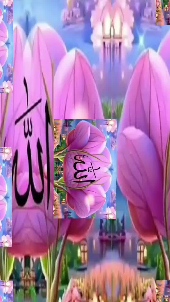 @Muhammad imran 🦅