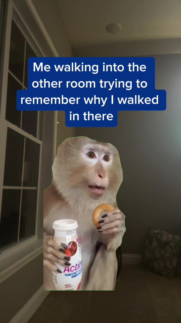 @tiktokmademesayit