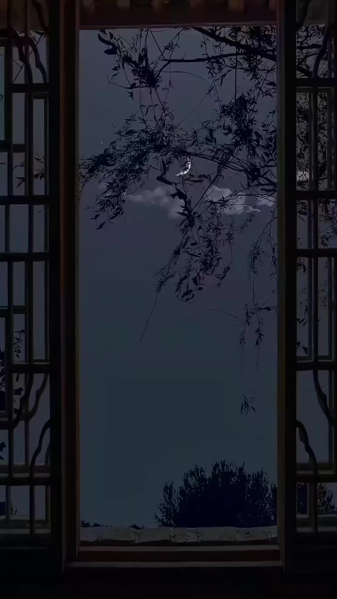@ℕ𝔸𝕁𝔸𝔽_𝕁𝕌𝕋𝕥 😎