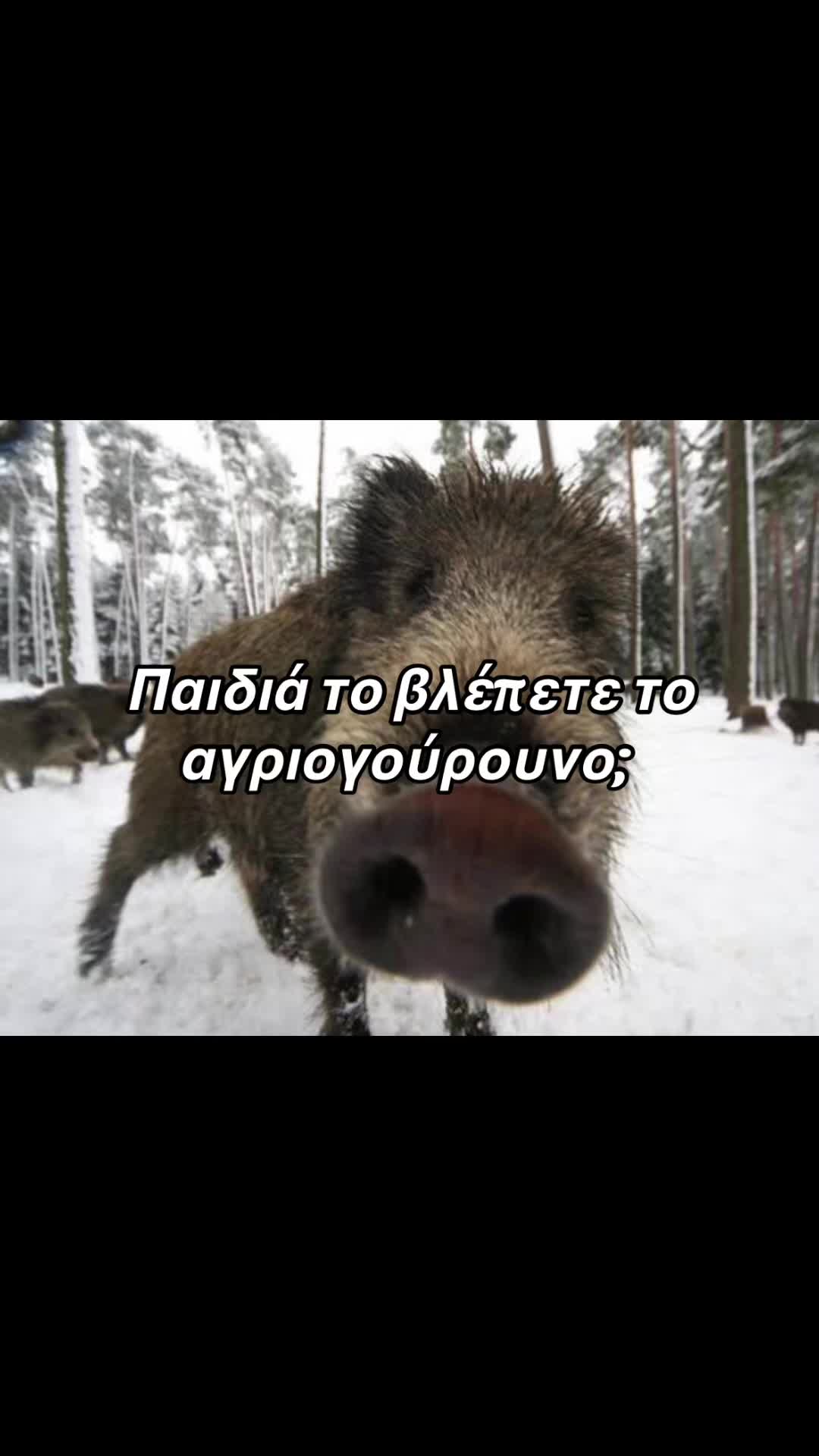 @&Gamma;&epsilon;&omega;&rho;&gamma;&iota;&alpha; &Kappa;&alpha;&nu;&delta;&iota;&alpha;