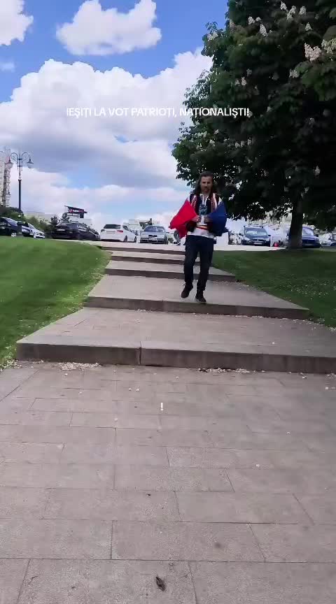 @TESLARU_COSTINEL🇹🇩