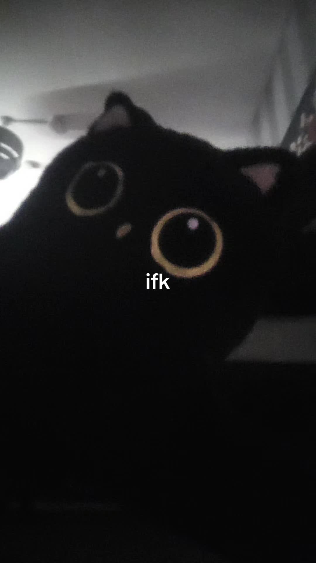 @miss myia aka yandre 2018