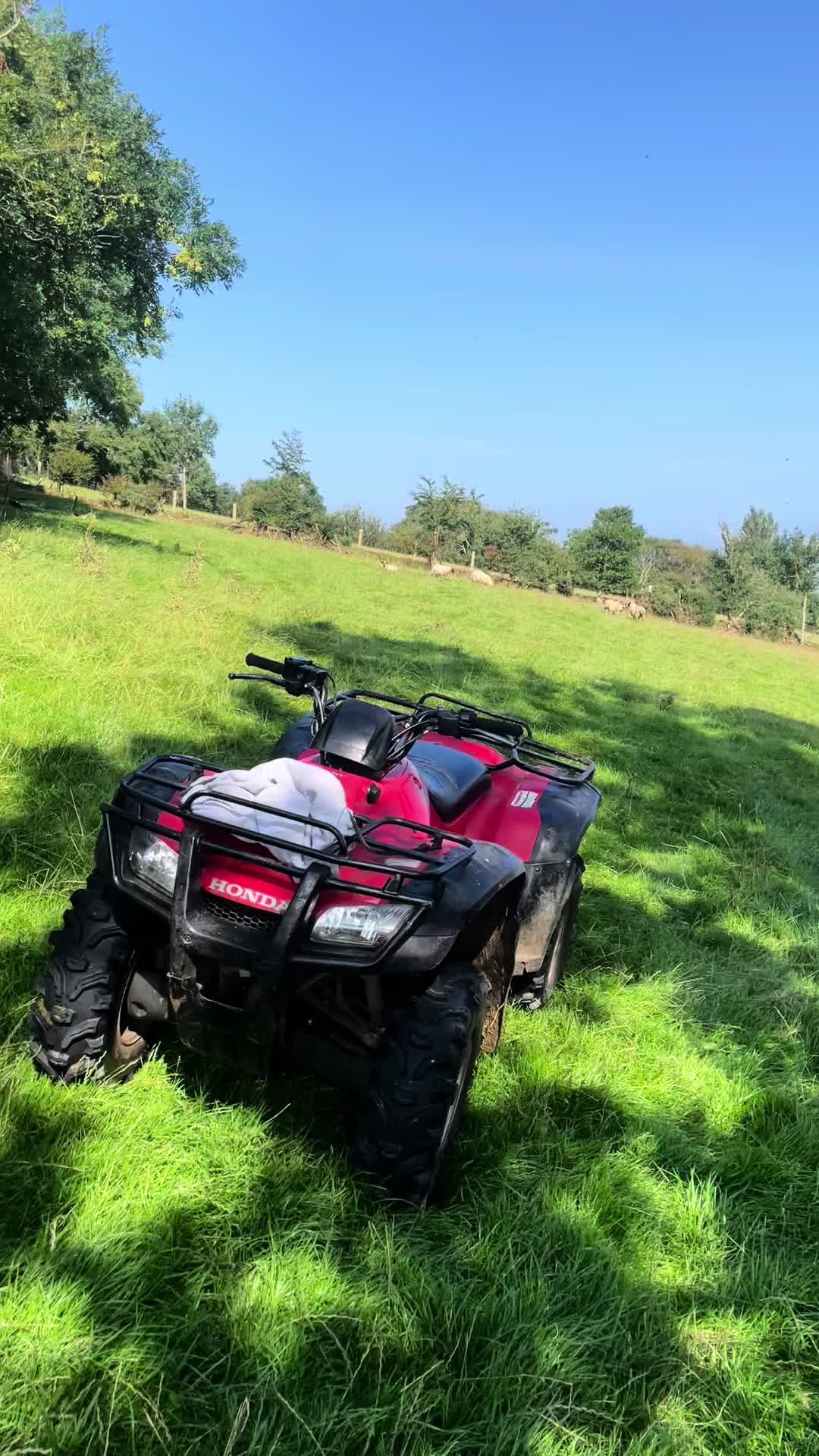 @conorquinn135