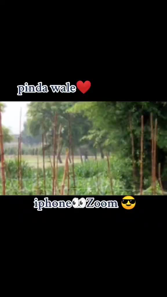 @💝شانی سندھو 🌱🌾