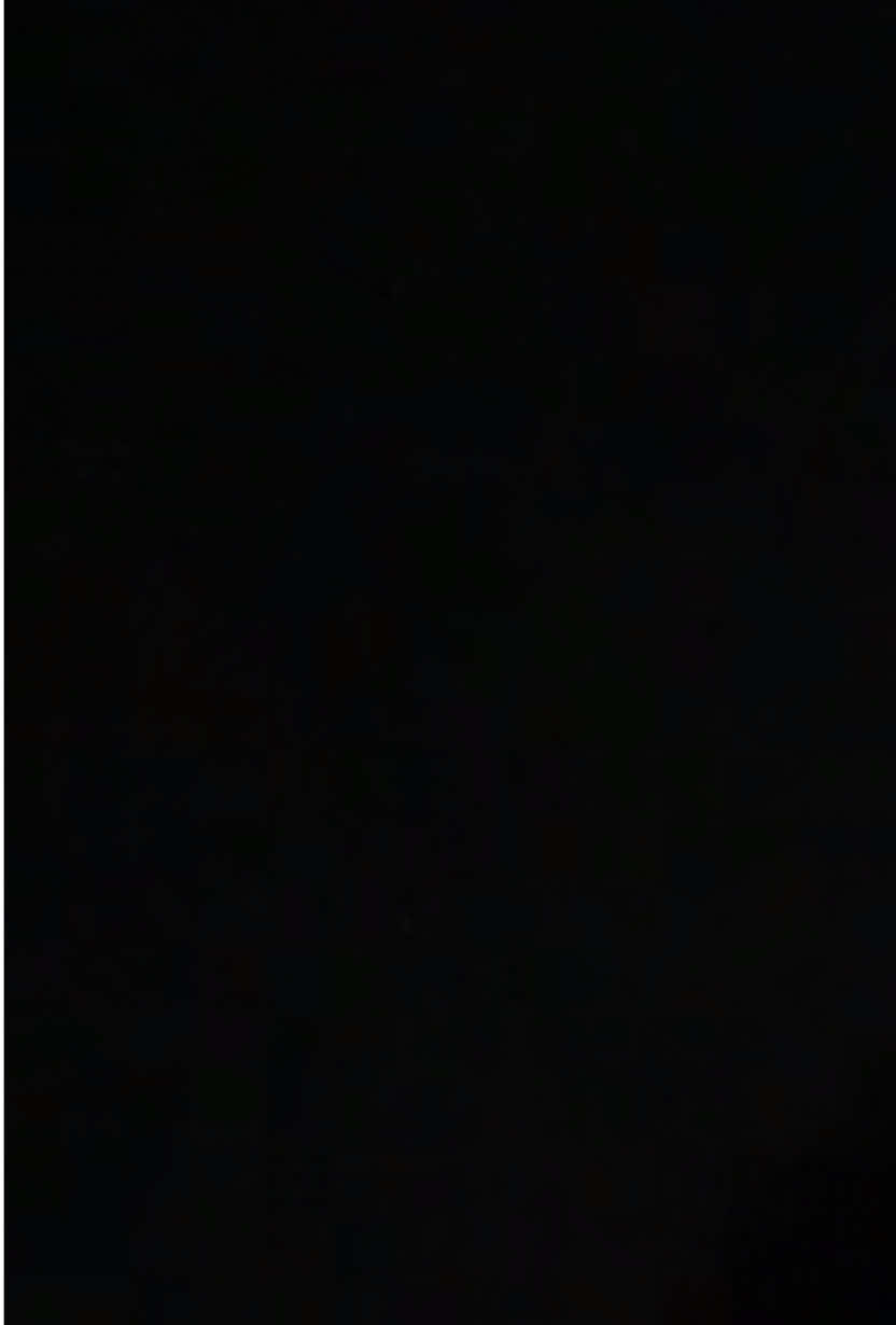 @𝐋♛