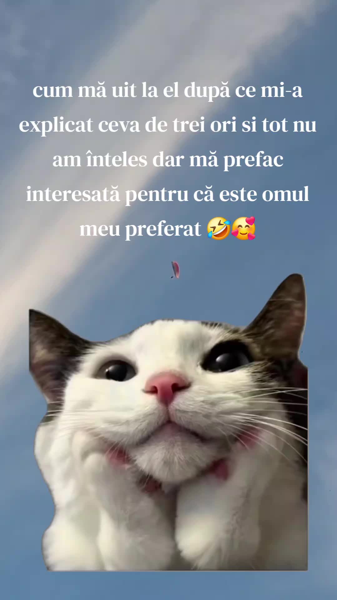 @Rasinarrenataiulia
