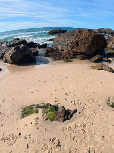@ballnbackpack⚽️🏝️