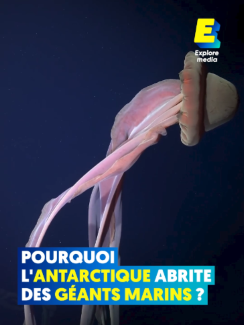 @ExploreFR