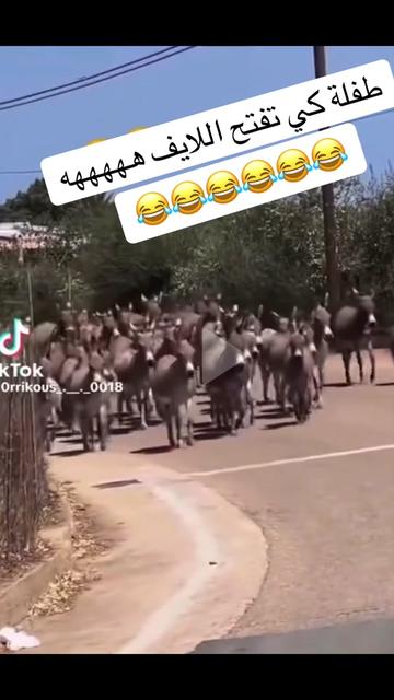 @لمسة فنان 🎨🎼🎹🎸🎷