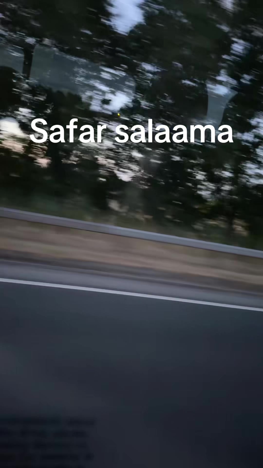 @aaminashiq