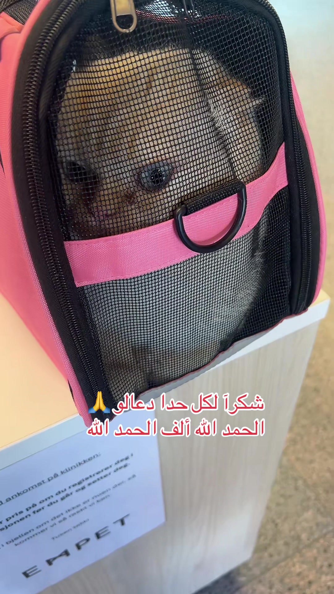 @Ibrahim😻Marius