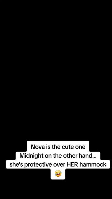 @B.A.M❤️